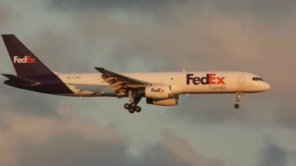 Fedex Express波音757 2B7飞往多伦多国际机场 日落灯光反射 — 图库视频影像