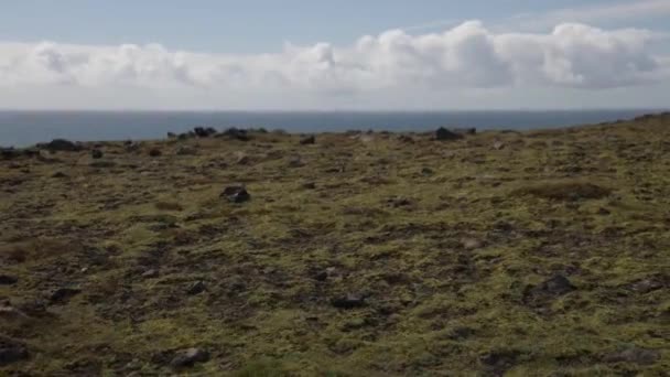 ギンバルビデオが横に歩いてアイスランドの海岸線の岩の地形 — ストック動画