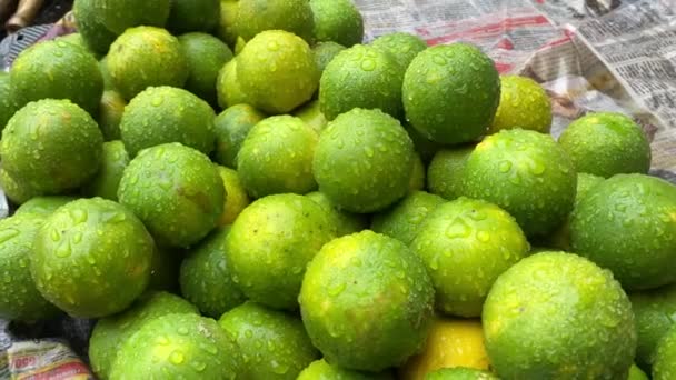 Калькутте Западная Бенгалия Трудолюбивый Уличный Торговец Продает Свежие Спелые Лимоны — стоковое видео