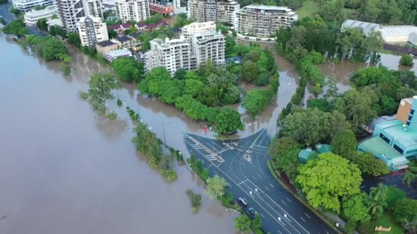 Side Drone View Flooded Road Coronation Drive Milton Brisbane Floods — Stock Video