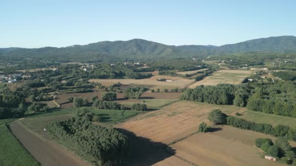 Gecultiveerd Veld Girona Spanje Luchtfoto Met Bergen Achtergrond Zonnige Zomerdag — Stockvideo
