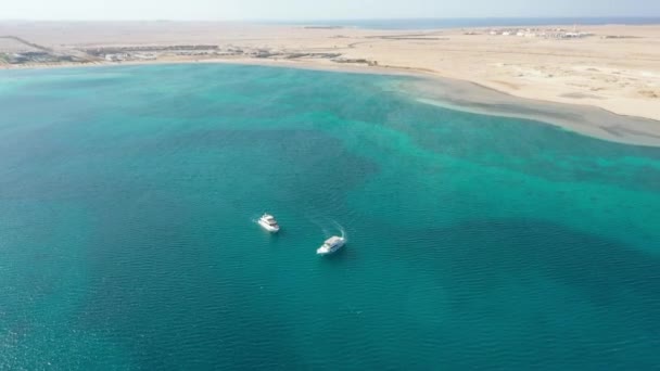Vue Aérienne Drone Yachts Dans Mer Rouge — Video