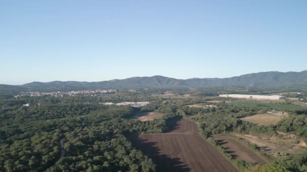 Drone Πτήση Μέσα Από Πυκνό Πράσινο Δάσος Προς Βουνά — Αρχείο Βίντεο