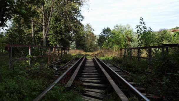 Oude Spoorbrug Roemenië — Stockvideo