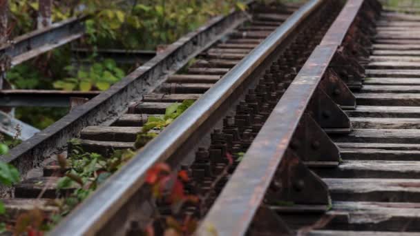 Spoorweg Met Houten Dwarsliggers Van Dichtbij Bekeken — Stockvideo