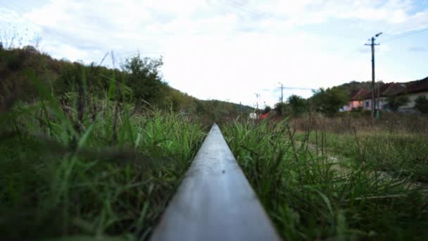 Trein Spoor Omgeven Door Gras — Stockvideo