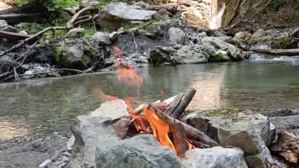 Adam Iyi Pişmiş Sosisleri Nehir Kıyısında Yemek Için Kamp Ateşinden — Stok video
