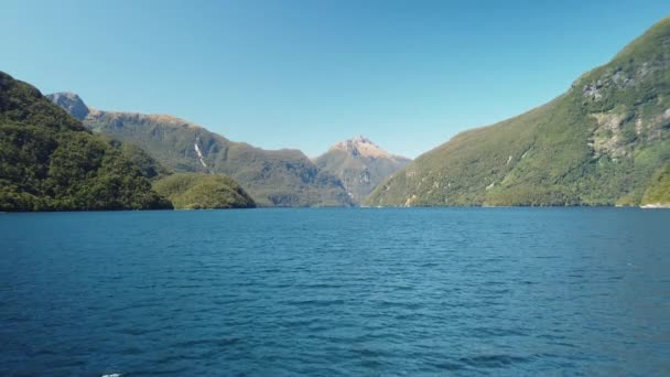 Aerial Water New Zealand Remote Fjord Sunny Day Doubtful Sound — Stock Video