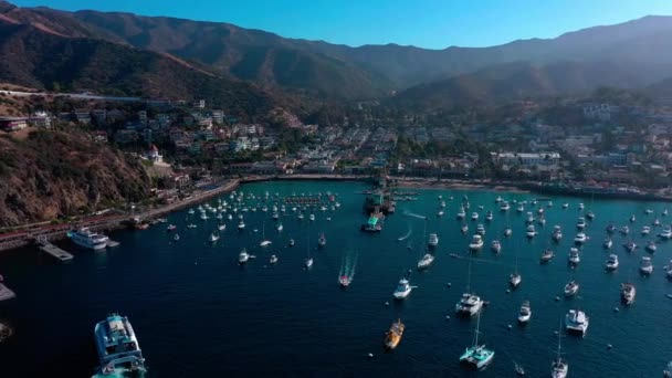 Drone Panning Right Boats Harbor Avalon Catalina Island — Stock Video