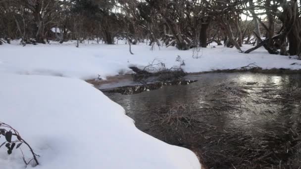 オーストラリアの高山地域の雪の中の凍結池 — ストック動画