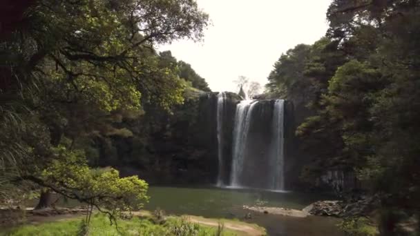 Icónico Whangarei Falls Northland Nueva Zelanda Reserva Escénica Atracción Turística — Vídeos de Stock