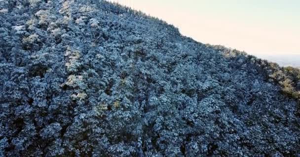 Panoramica Aeriană Dezvăluie Copacii Acoperiți Zăpadă Muntele Grey Până Văile — Videoclip de stoc