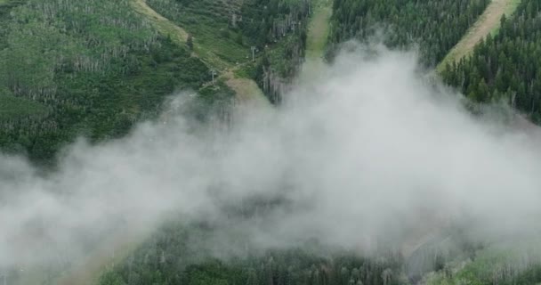 Luchtfoto Van Lage Mist Boven Berg Bosbomen — Stockvideo