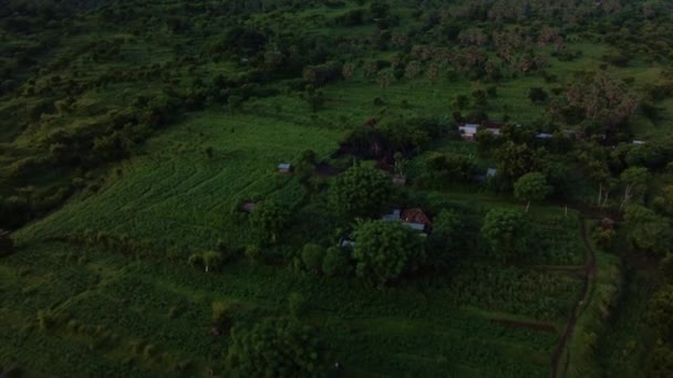 Tropické Amed Údolí Odhaluje Mount Agung Pozadí — Stock video