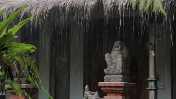 Gotas Lluvia Monzónicas Casa Tradicional Bali Tropical Estatua Buda Riendo — Vídeo de stock