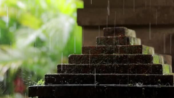Regenwassertropfen Auf Moosziegel — Stockvideo