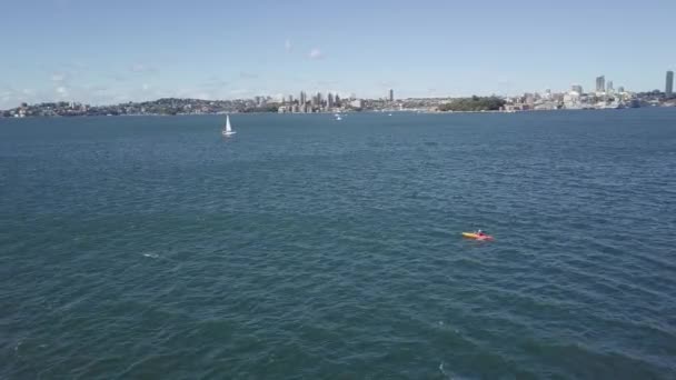 Single Kano Kajak Peddelaar Sydney Harbour Australië — Stockvideo