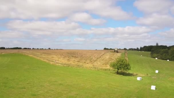 Trator Agrícola Colhendo Sementes Grama Campo Para Relva Gramado Drone — Vídeo de Stock