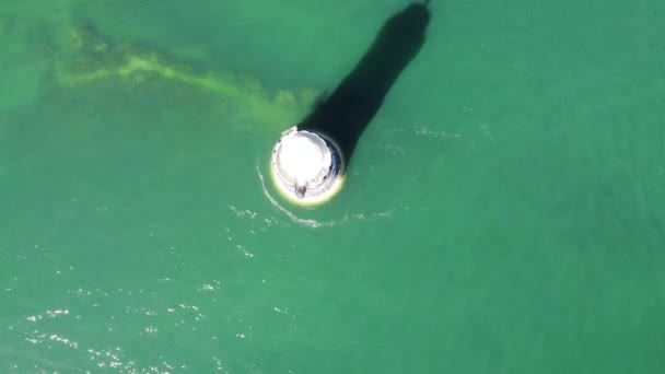 Birdseye Perspektifli Deniz Feneri Manzaralı Kıyı Feneri Parıldayan Turkuaz Okyanus — Stok video