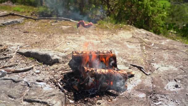 Auf Einem Stock Über Dem Lagerfeuer Gegrilltes Wildbret Offene Flammen — Stockvideo