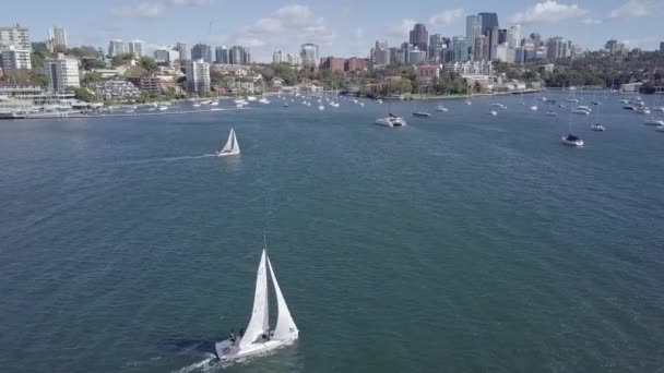 Парусные Яхты Несколько Других Лодок Дрейфуют Гавани Сиднея Вид Северный — стоковое видео