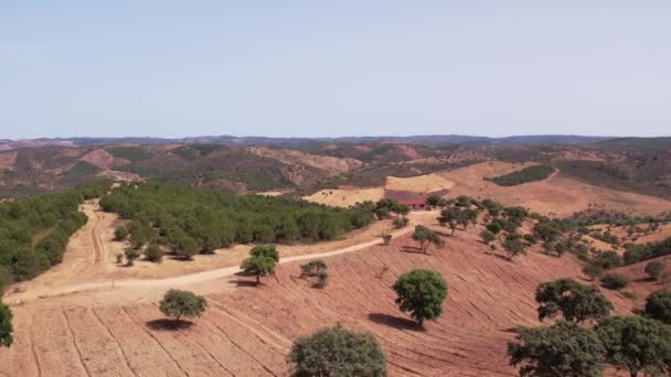 Viajando Direção Fazenda Uma Colina Com Cordilheira Fundo Alentejo Portugal — Vídeo de Stock