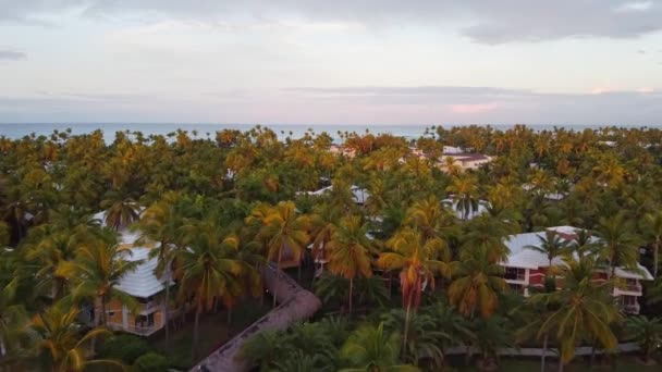 Aerial Drone Shot Dominikany Kurorcie Podczas Wschodu Lub Zachodu Słońca — Wideo stockowe