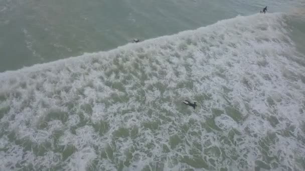 Aerial Surfingu Muizenberg Rpa — Wideo stockowe
