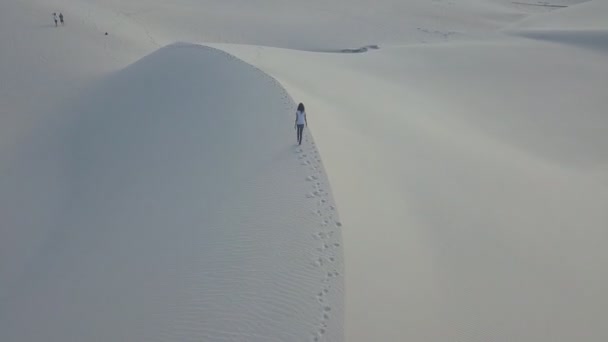 南アフリカの砂丘での人間のハイキングの空中 — ストック動画