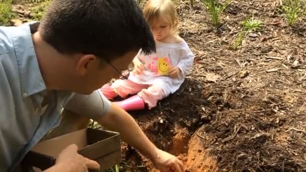 庭に花の球根を植える父と娘 — ストック動画