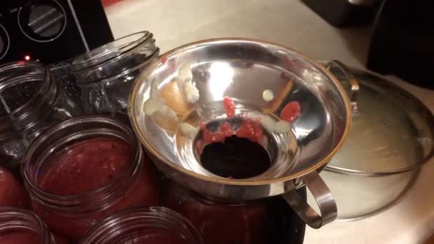 Close Canning Applesauce Kitchen — Stock Video