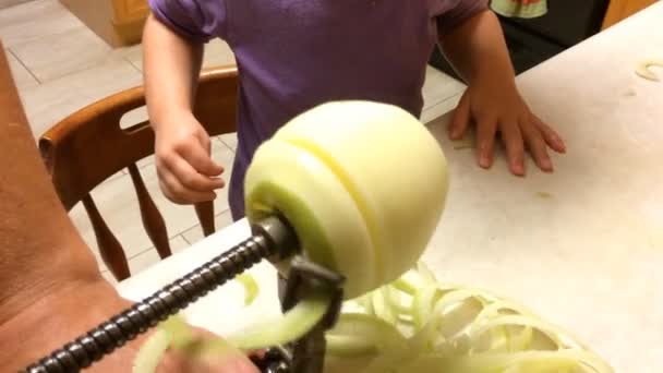 Peeling Apples Applesauce Kitchen — Stock Video