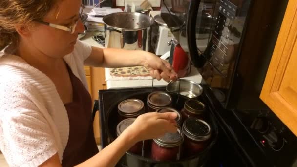 Woman Canning Applesauce Kitchen — Stock Video