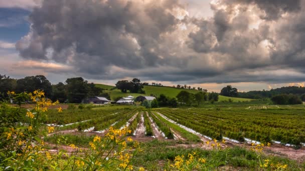 Time Lapse Clouds Blue Ridge Mountains Asheville Βόρεια Καρολίνα — Αρχείο Βίντεο