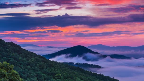 Zeitraffer Kino Blue Ridge Mountains North Carolina Sonnenaufgang Asheville — Stockvideo