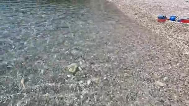 Wideo Pływaniem Igłą Plaży Hvarze Chorwacja — Wideo stockowe
