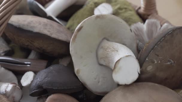 Tiro Mão Cogumelos Uma Cesta — Vídeo de Stock