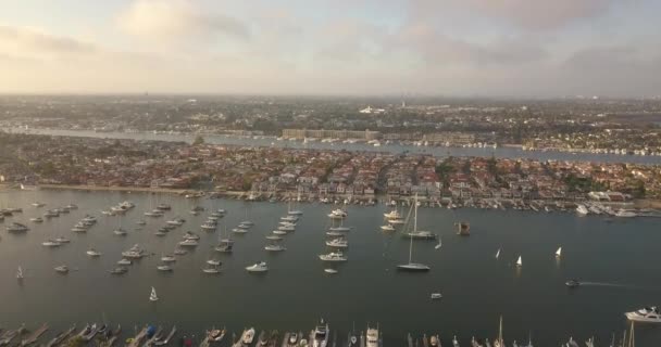 Flight Southern California Harbour — Stock Video