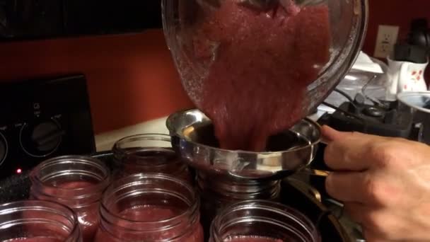 Close Canning Applesauce Kitchen — Stock Video