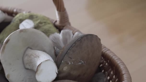 在篮子里放下一篮蘑菇 — 图库视频影像