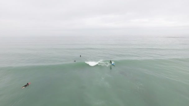 Lucht Vliegen Surfers Langs Het Strand Zuid Afrika — Stockvideo