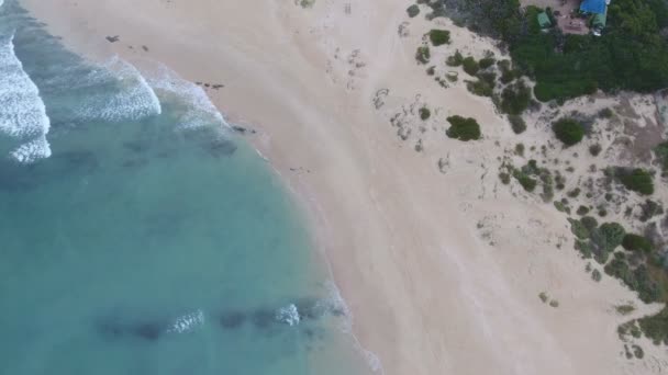 Воздушные Полеты Вдоль Экзотического Пляжа Юар — стоковое видео