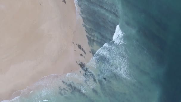 Flyg Flyger Längs Exotiska Stranden Sydafrika — Stockvideo