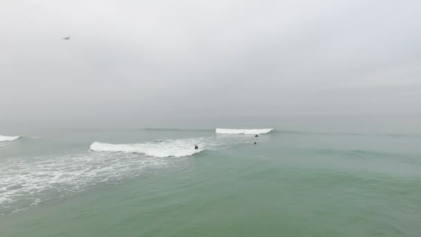 Surf Longo Costa Exótica África Sul — Vídeo de Stock