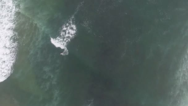 Vuelo Cinematográfico Acción Aérea Sobre Surfistas Surfeando Coffee Bay Sudáfrica — Vídeo de stock