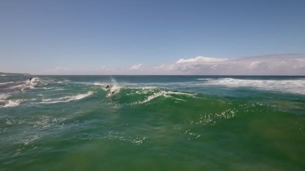 Océano Aéreo Cinematográfico Surfeando Largo Costa Sudáfrica — Vídeo de stock