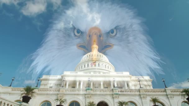 Kopasz Sas Egyesült Államok Capitol Building Washington — Stock videók