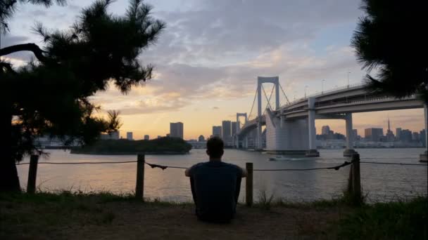 Brug Haven Naar Stad Tokio — Stockvideo