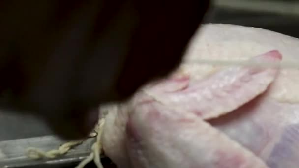 Close Raw Chicken Being Tied Skewer — Stock Video