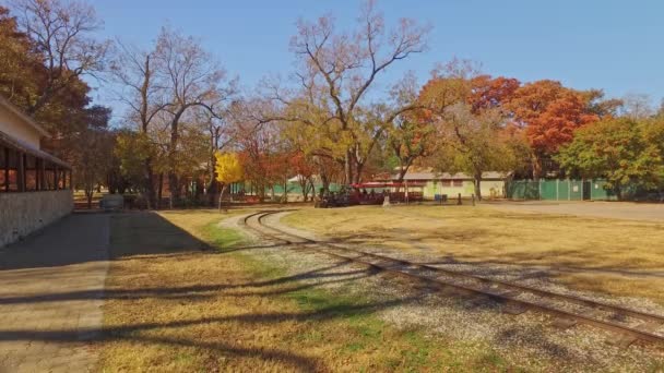 小型蒸汽机老式牛仔式火车头 人们骑在上面穿过公园 — 图库视频影像